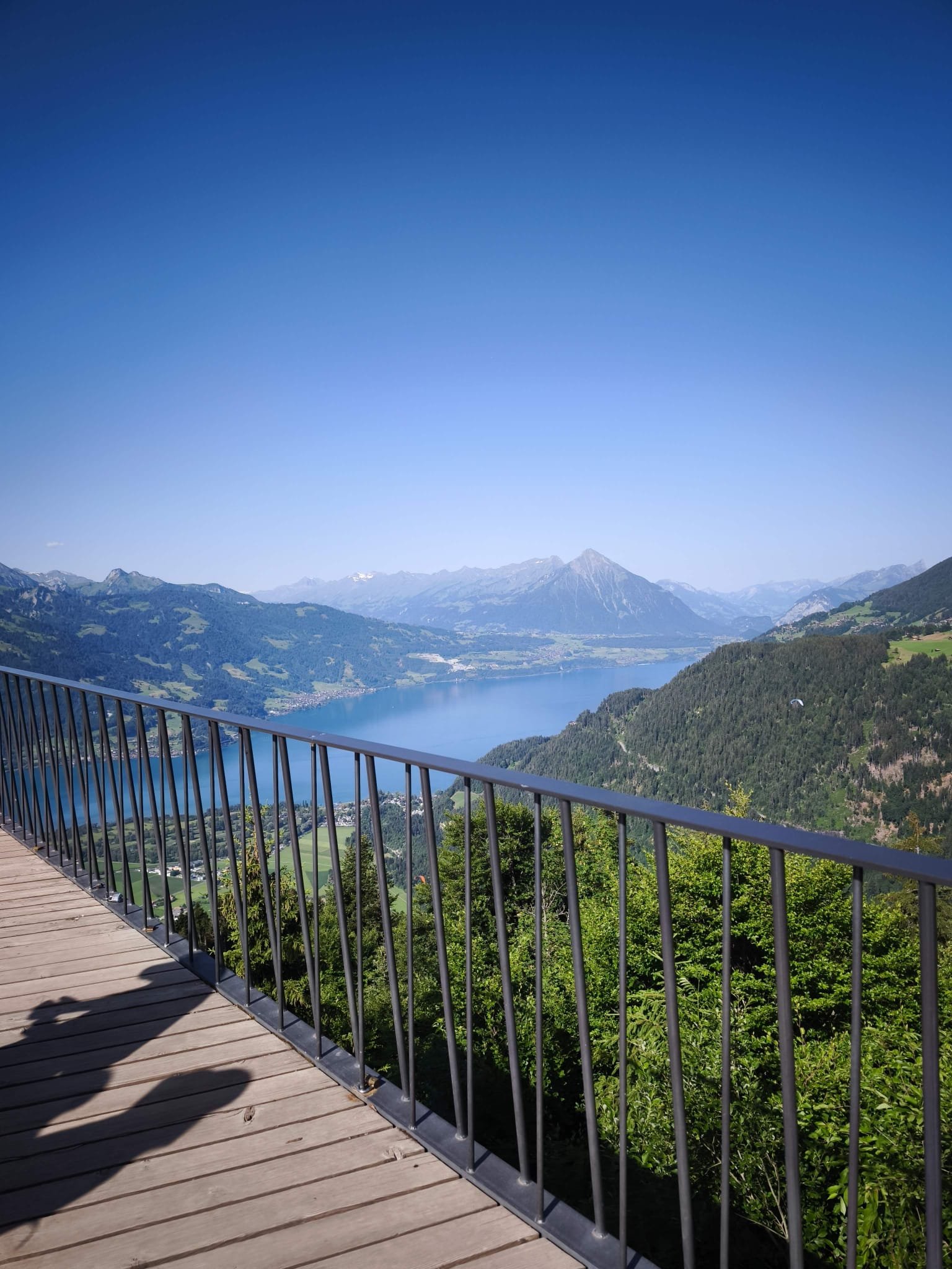 Panoramic view of Lake Thun and the Swiss Alps from an Interlaken viewpoint on a private day trip from Zürich